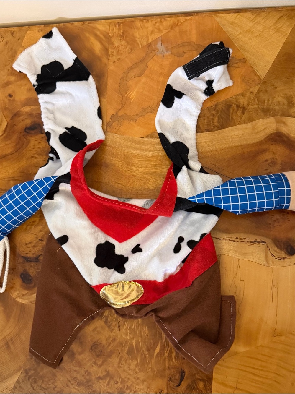 Dog Halloween Costume Cowboy Wild West